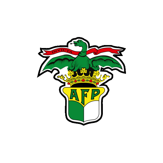 Associação de Futebol do Porto